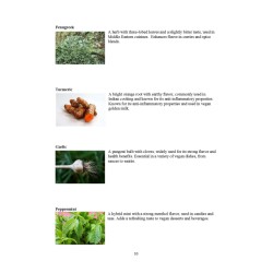 Herbal Home Gardening Guide